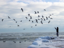 Одесское побережье покрылось льдом: смотри фото