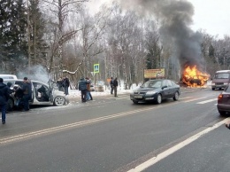 В ДТП под Москвой погибли девять человек