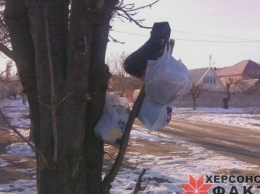 В Херсоне мусор вывешивают на деревья