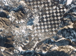 NASA опубликовало фото шахматной доски с вырубленных деревьев