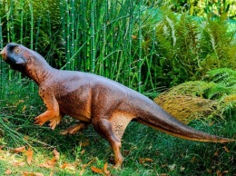 Ученым удалось найти сохранившиеся мягкие ткани динозавров