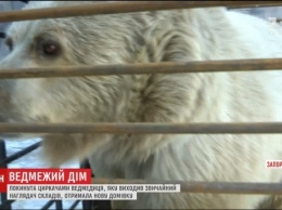 В зоопарк в Васильевке привезли медведицу, брошенную циркачами (видео)