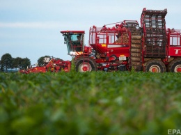 Украинские агрохолдинги за год подорожали в два раза