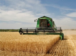 Запорожские аграрии собрали самый большой за последние 25 лет урожай пшеницы