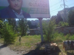 У Филатова отрицают причастность к вырубке деревьев в Днепропетровске