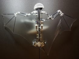Ученые сделали робота-летучую мышь
