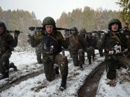 В Ярославской области Росгвардия оцепила лес для поиска вооруженного преступника