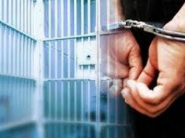 Ульяновский каннибал осужден на 12,5 лет строгого режима