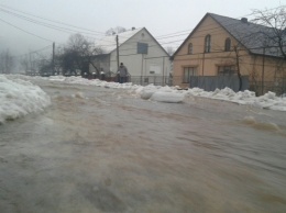 В закарпатском селе река затопила несколько улиц, жители сообщают о гибели животных