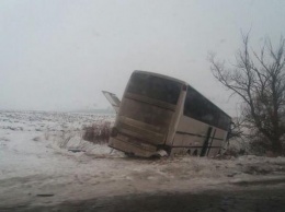 В Винницкой области столкнулись три автобуса и Ford