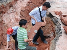 Палеонтологи сообщили о сенсационной находке на Тайване