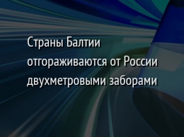 Cтраны Балтии отгораживаются от России двухметровыми заборами