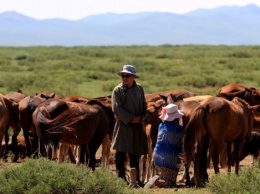 Жители Монголии пожертвовали лошадьми ради выплаты внешнего долга