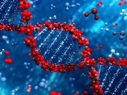 Ученые раскрыли особенности "темного" генома