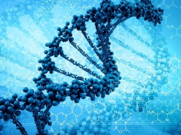 Ученые рассказали об особенностях «темных» генов