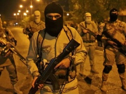 Турция заявил об уничтожении 33 боевиков "ИГИЛ" в Сирии