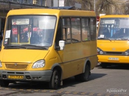 В Днепре носки надевают на что угодно