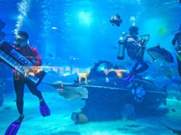 В Перми состоится уникальный концерт под водой 