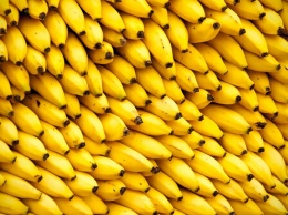 В Украине стремительно дешевеют бананы