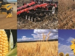 Сумская область лидирует в Украине по посеву и валовому производству гречки