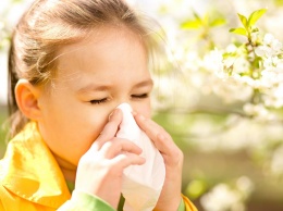 Ученые: Жизнь в селе не убережет ребенка от аллергии