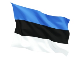 Эстония обнародовала «черный список» российских СМИ