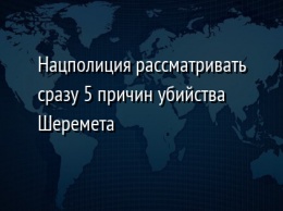 Нацполиция рассматривать сразу 5 причин убийства Шеремета