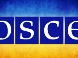 ОБСЕ: работа над отводом вооружений в Донбассе продолжится