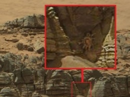 Гигантский краб, обнаруженный на поверхности Марса, шокировал исследователей