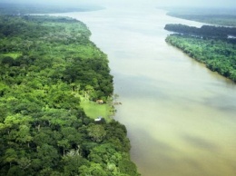 В джунглях Амазонки найден ключ к древней цивилизации