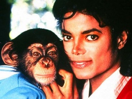Об обезьяне Майкла Джексона снимут мультфильм