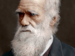 208 лет прошло с тех пор, как на свет появился Чарльз Дарвин