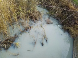 Кто загрязняет Песчанский ручей останется тайной?
