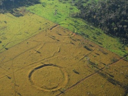 Экологи изучили экологическую историю лесов Амазонки