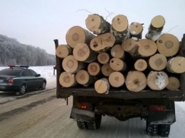 На Сумщине загнали на штраф-площадку грузовик с древесиной (+фото)