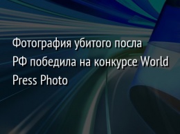 Фотография убитого посла РФ победила на конкурсе World Press Photo