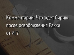 Комментарий: Что ждет Сирию после освобождения Ракки от ИГ?