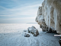 Зимний пейзаж: льдины, море и кот