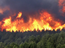 В Новой Зеландии лесные пожары угрожают городу Крайстчерч