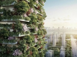 В Китае возведут два дома-леса, разработанные итальянским архитектором