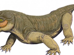 Первым ядовитым существом на Земле оказался предок ранних млекопитающих