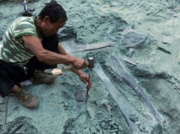 В Китае обнаружили останки беременного родственника динозавра