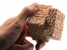 В Австралии ученые напечатали на 3D принтере ткань головного мозга