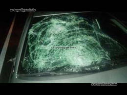 ДТП на Черниговщине: водитель Skoda Octavia сбил двух пешеходов - женщина скончалась