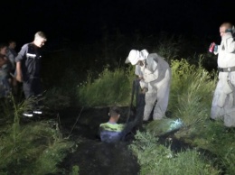 В Запорожской области спасателей вызвали ради коровы