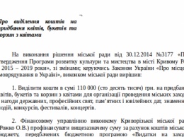 Почему на цветы городские власти выделили в 10 раз больше денег, чем на помощь освободителям Кривого Рога