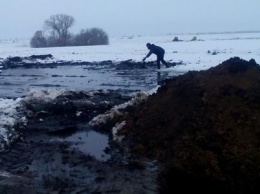 Подсчитан размер урона вследствие разлива нефтепродуктов в Ахтырском районе
