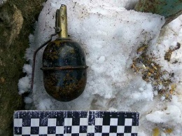 Опять граната, только теперь в Вознесенске: ее бросили во двор местного жителя