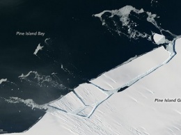 От ледника в Антарктике откололся огромный айсберг: появились впечатляющие фото