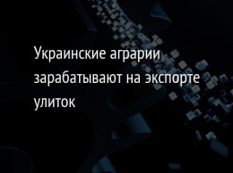 Украинские аграрии зарабатывают на экспорте улиток